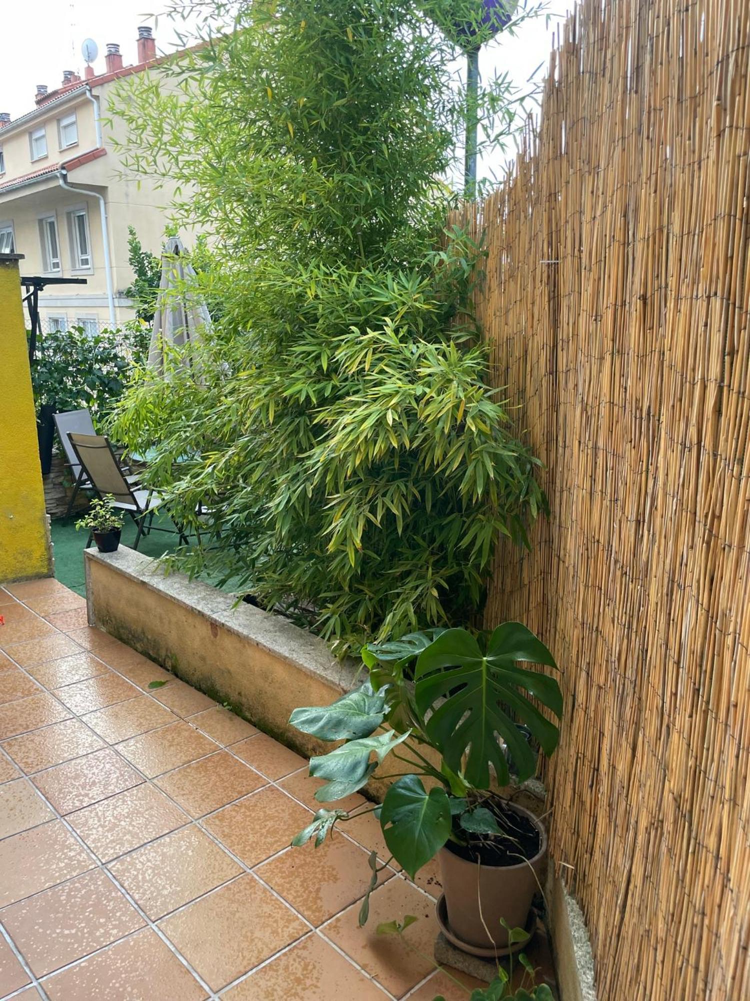 Ecobambu Con Terraza Y Parking En Pontevedra Apartment San Salvador de Poio Luaran gambar